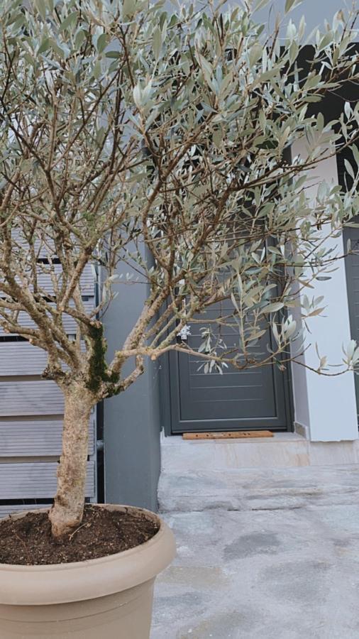 My Home Ioannina Buitenkant foto
